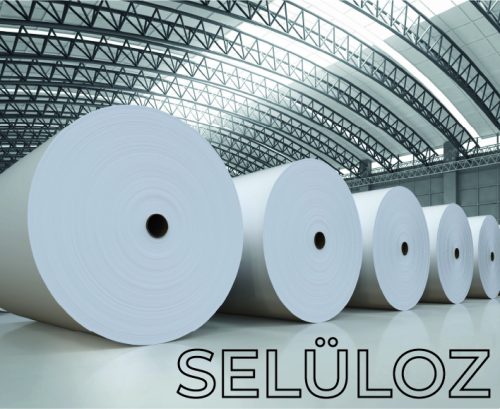 Selüloz kopya-100
